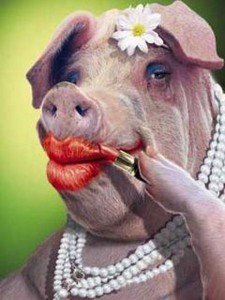 lipstick-on-a-pig